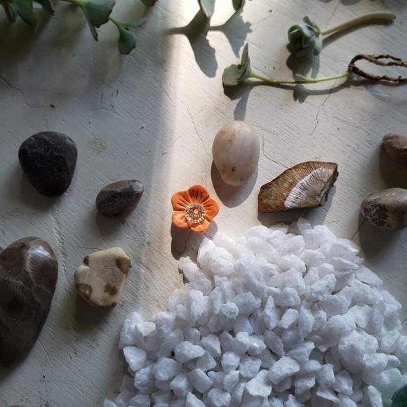 Terrarium kits - Picture 3 of 6